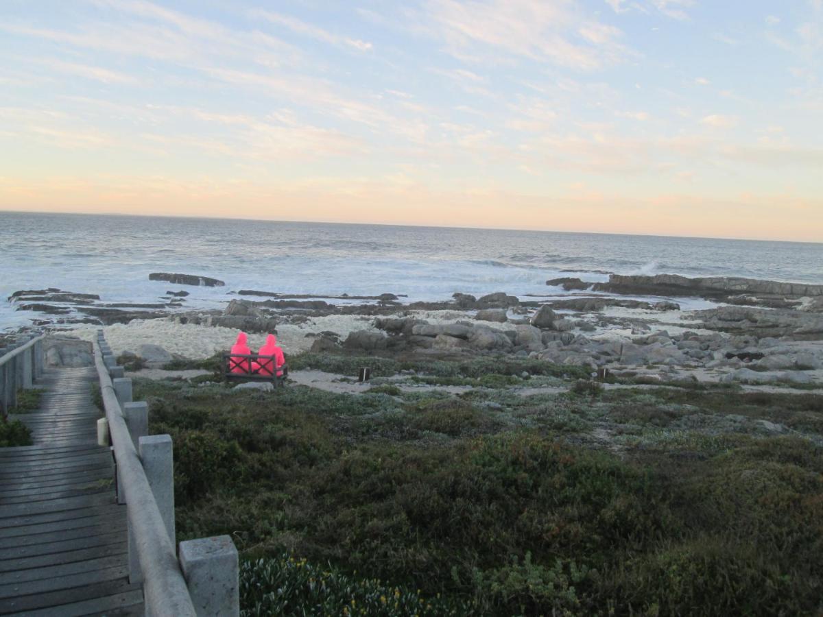 The Potting Shed Self Catering Apartment Hermanus Exterior photo