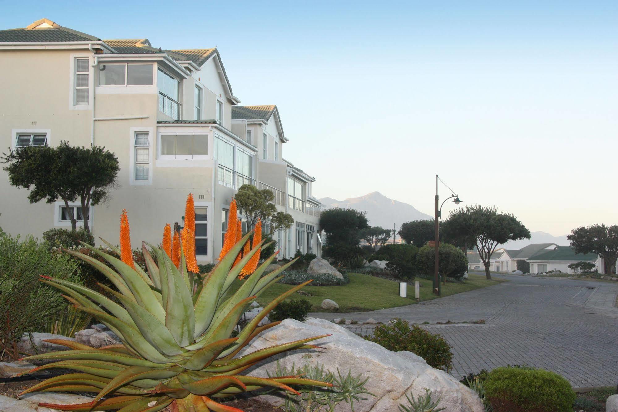 The Potting Shed Self Catering Apartment Hermanus Exterior photo