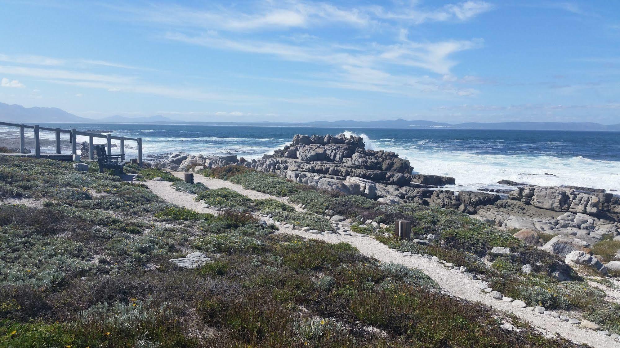 The Potting Shed Self Catering Apartment Hermanus Exterior photo